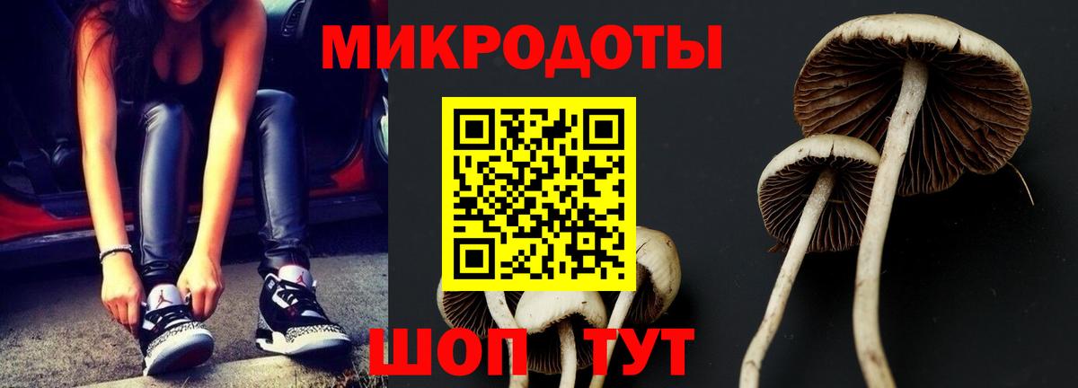 Псилоцибиновые грибы мицелий Сергиев Посад